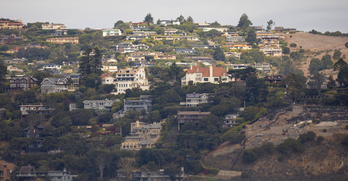 Picturesque hillside homes stacked over San Francisco Bay. Scenic and serene.